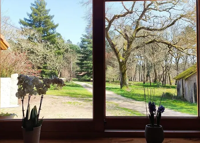 Vakantiehuis Location La Grange De Routge - 4 Etoiles Roquefort (Landes)