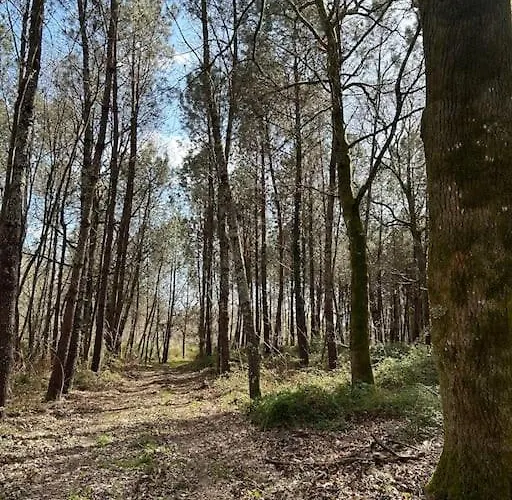 Vakantiehuis Location La Grange De Routge - 4 Etoiles Roquefort (Landes)